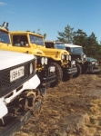 am20