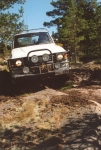 am22