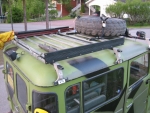 Safarikatto_3