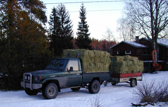 BJ Heinäkuormassa