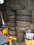 rengaspino