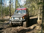 metassa1