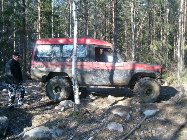 metassa6
