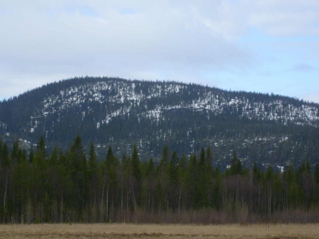 Maisema