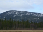Maisema