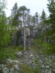 puurotkossa