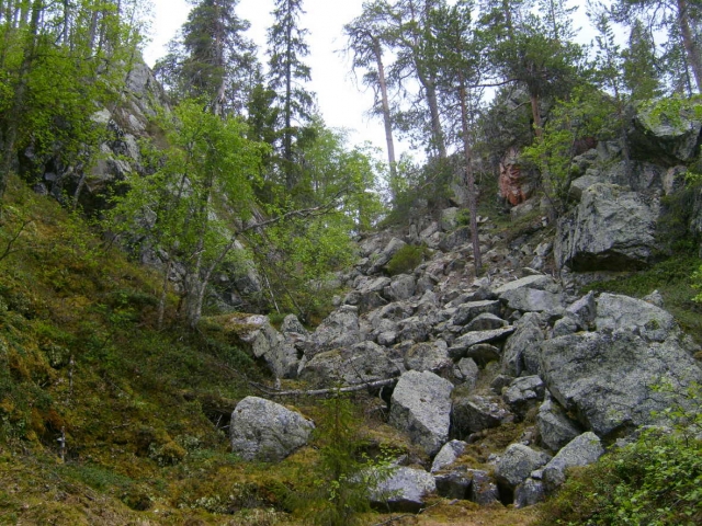 kuru