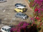 cruiseri1