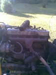 Kuva160