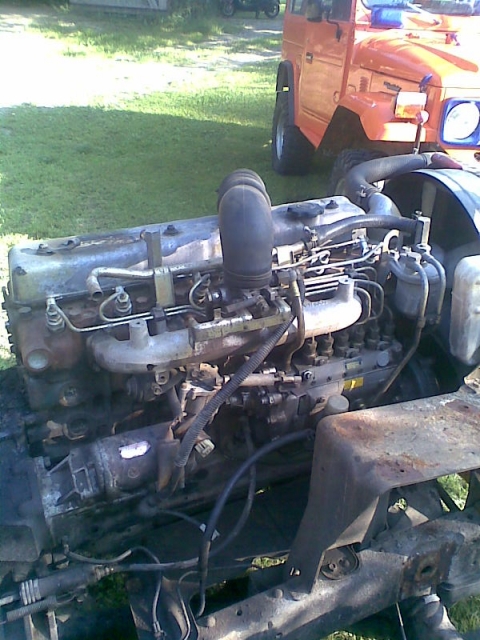 Kuva161