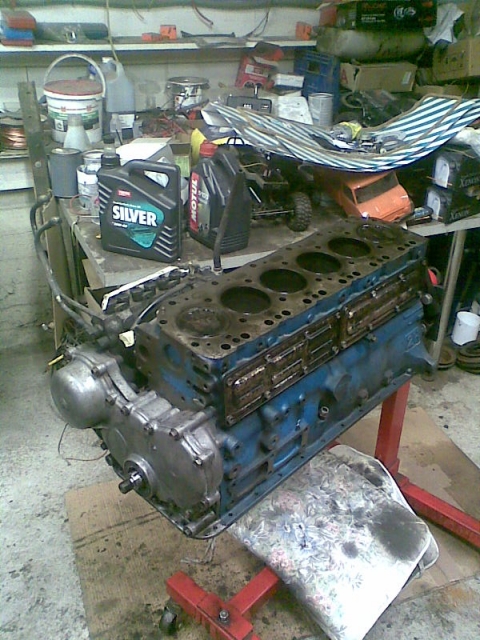 Kuva165