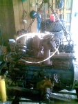 Kuva177