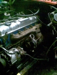 Kuva184