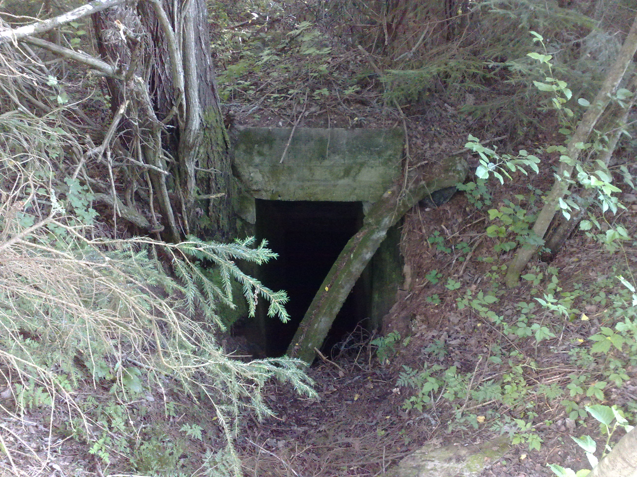 30072009169