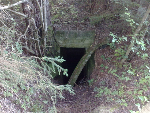 30072009169