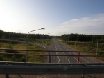 Ohitie