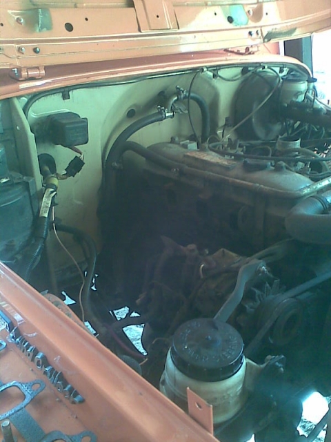 Kuva323