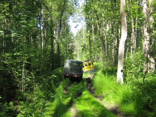 IMG_0181.JPG