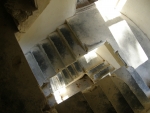 P7100043.JPG