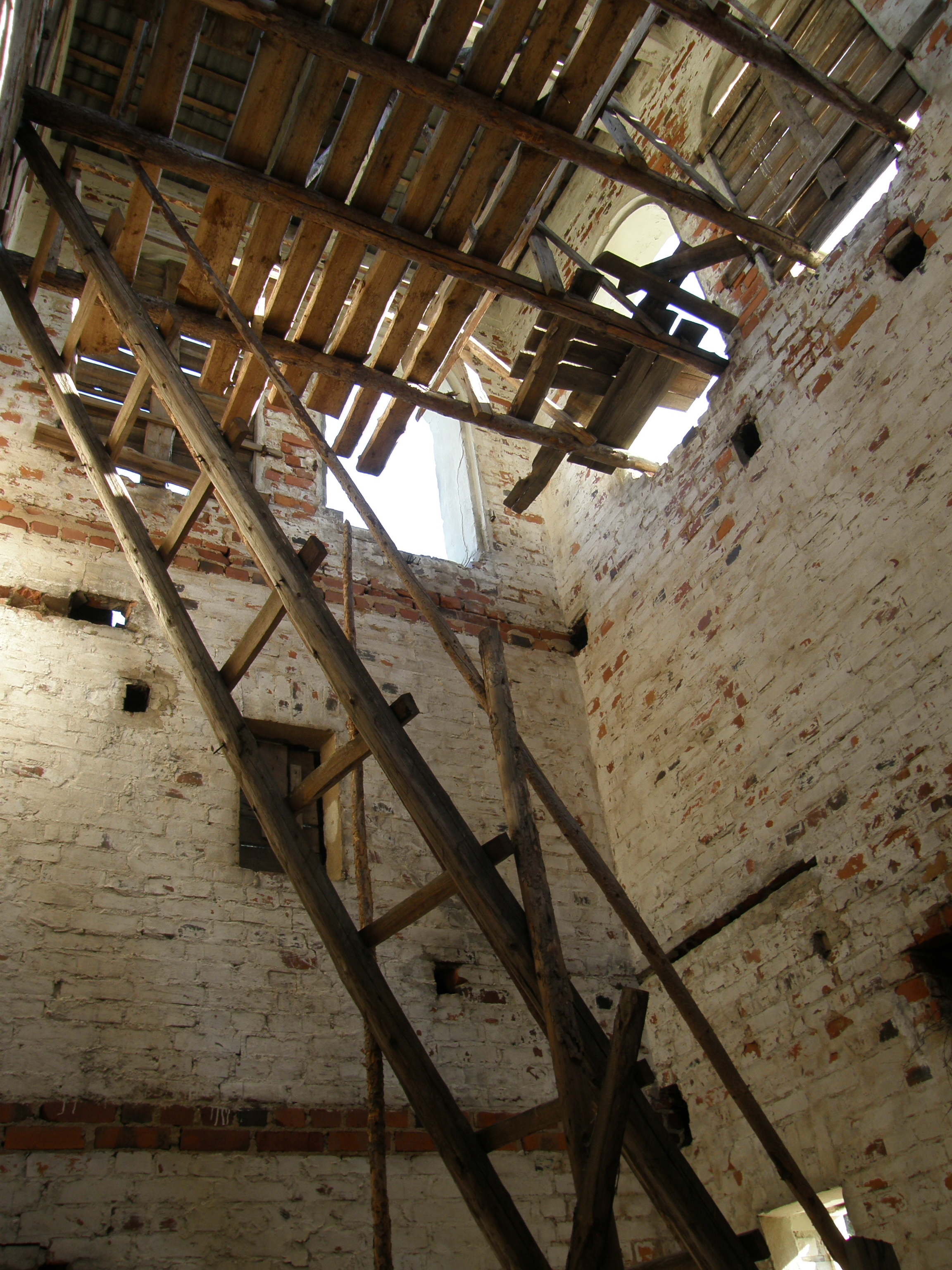 P7100044.JPG