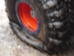 sal5