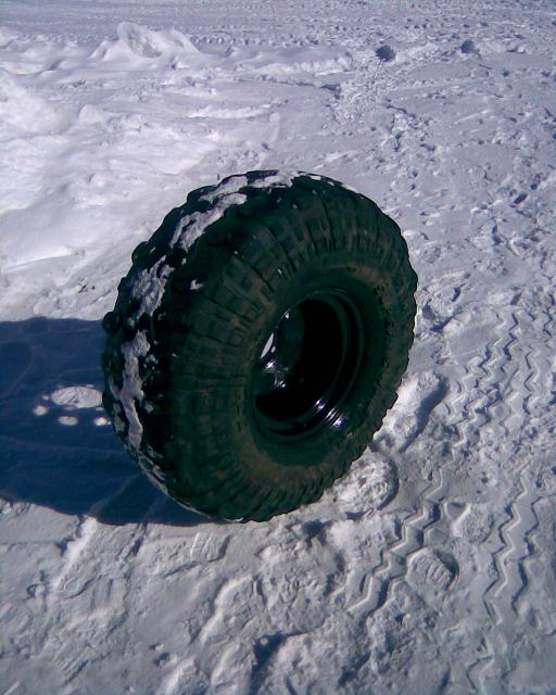 20.3.2011 001