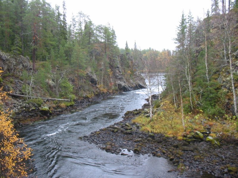 107_0705