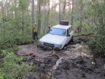 suon kierto lähellä riiskaa