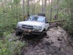 suon kierto lähellä riiskaa