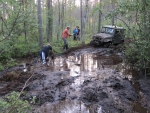 suon kierto lähellä riiskaa