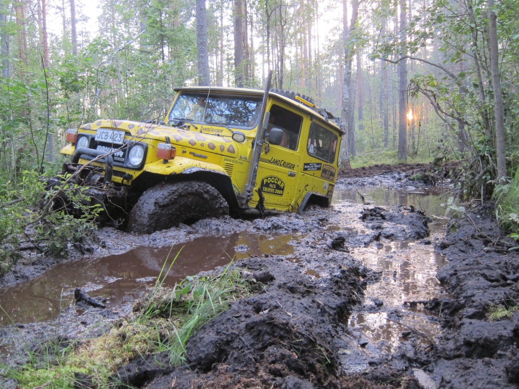 suon kierto lähellä riiskaa