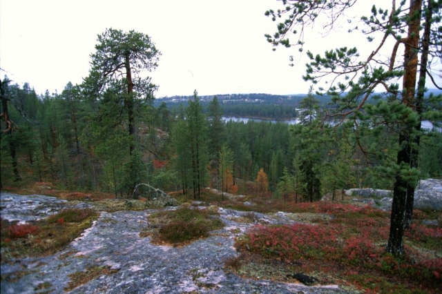 Jankha29