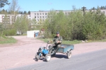 Härveli