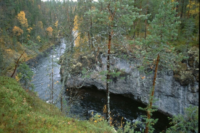 Jankha83
