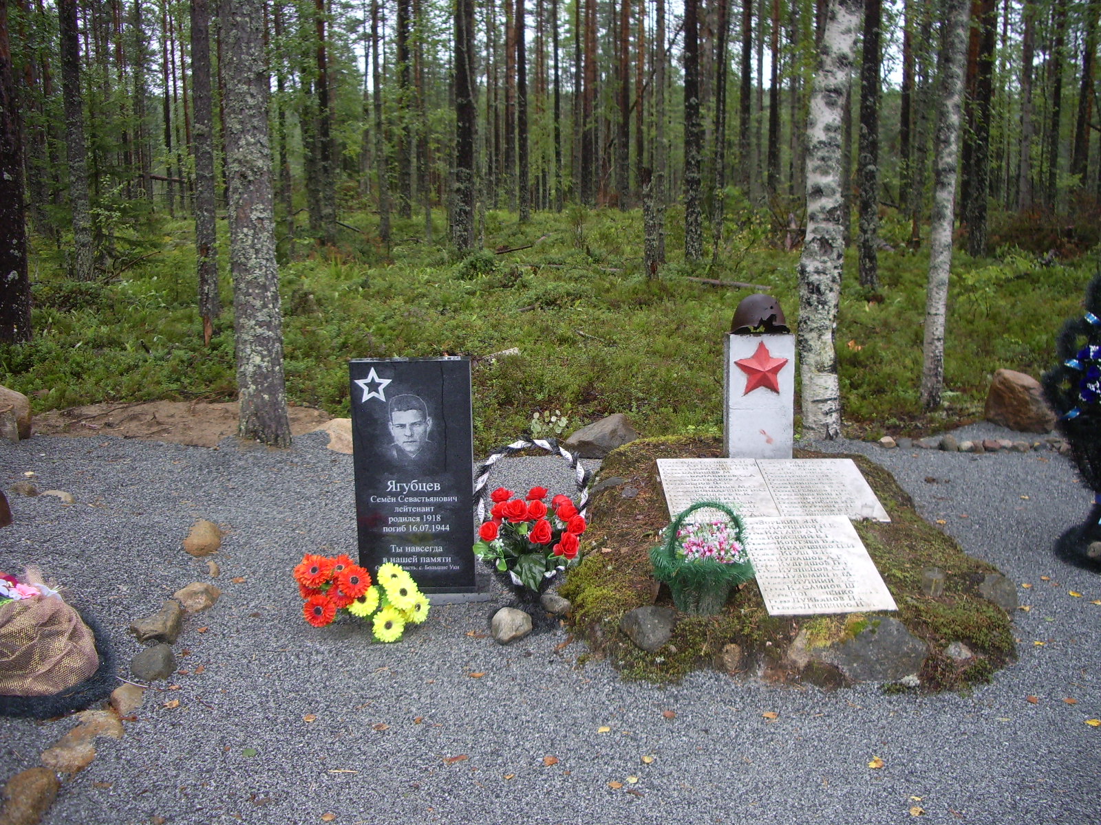 IMGP1507