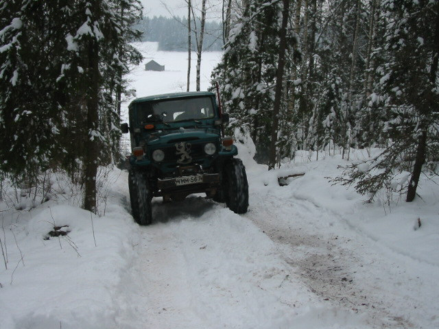 Tomin%20pikkuinen%20keulakoriste