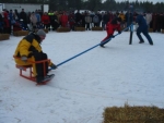 Vipukelkkailua
