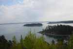 DSC00981