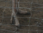 159-5964_IMG