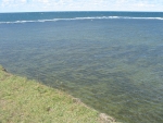 159-5979_IMG