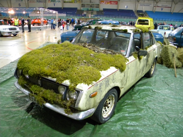 DSCN6971