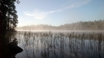 Karjala_2016 (13)