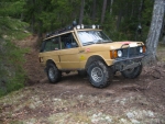 178-7873_IMG