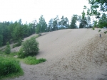 182-8263_IMG