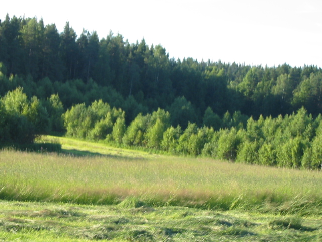 183-8323_IMG