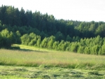 183-8323_IMG