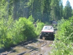 183-8349_IMG