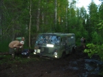 184-8423_IMG
