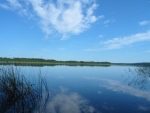 Maisema