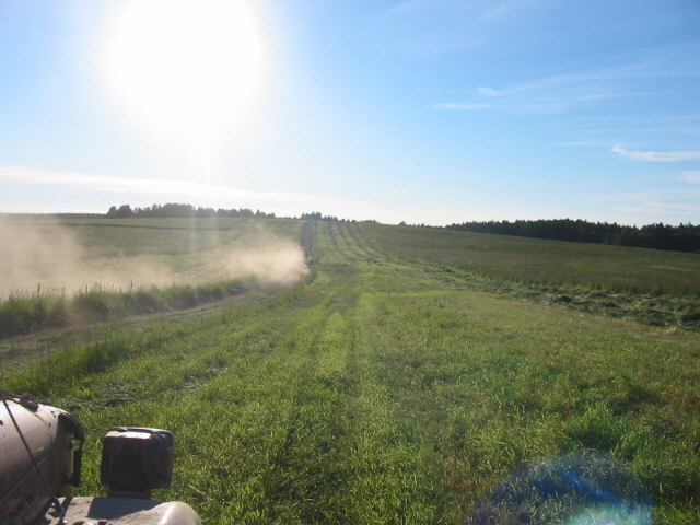 Maisema2